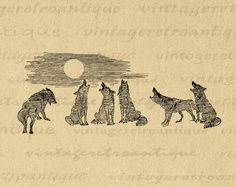 four wolfs are standing in front of the sun, and one is looking up at the sky