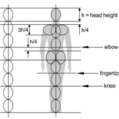 the height and width of a human figure with measurements for each individual's body