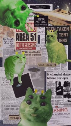 a collage of photos with green cats and space in the background, including newspaper clippings