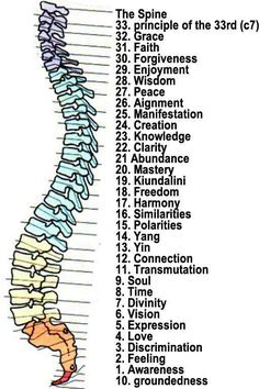 Chakra Points, Energy Medicine, Pranayama, Mind Body Soul, Holistic Healing, Acupressure