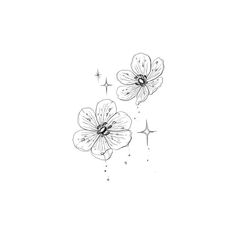 two flowers are shown in black and white on a white background, one is drawn by hand