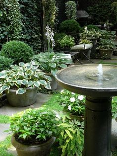 a garden filled with lots of plants next to a birdbath and water fountain