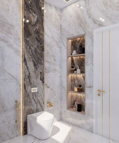 a white toilet sitting in a bathroom next to a wall mounted shelf filled with bottles