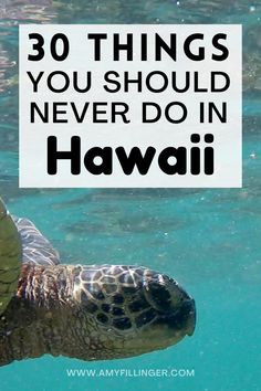 a turtle swimming in the ocean with text overlay reading 30 things you should never do in hawaii