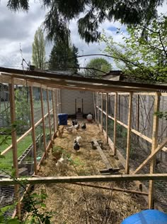 an outdoor chicken coop with several chickens in it and hay on the ground next to them