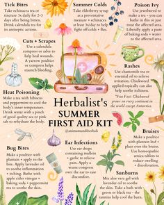 ☀️ Sun’s out, bugs are out ~ time to stock your summer first aid kits ⛑️ like an herbalist does. Long before conventional pharmaceuticals existed, Chinese, Indian + Arabic herbal medicines (in addition to countless others around the world) collectively relied on 53,000+ species of plants to heal the sick, aging + dying. For an in-depth look at the 15 plants your herbal first aid kit 🩹needs, an A-Z checklist of internal/external uses + some First Aid 101, check out the blog! Herbs For Beginner Herbalist, Herbal Drawings Botanical Prints, Topical Herbal Remedies, Herbs To Reduce Swelling, Herbal Remedy Recipes, Herbs For Medicine, Herbs For Lungs, Herbs For Women, Herbs For Skin