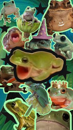 many different frogs with hats on and one frog has its mouth open while the other is wearing a hat