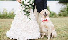 a bride and groom pose with their dog