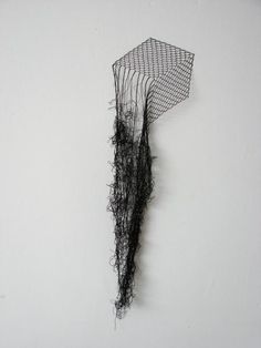 a piece of wire hanging on the wall with hair growing out of it's sides