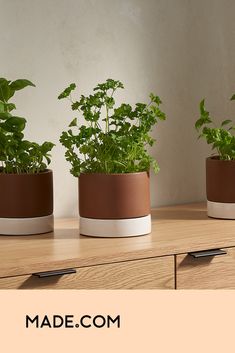 three potted plants sitting on top of a wooden table next to each other with the words made com above them