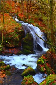 a small waterfall in the middle of a forest filled with trees and rocks, surrounded by fall foliage