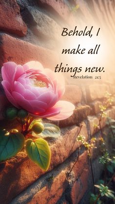 Behold I make all things new. Christian iPhone wallpaper. Just save use and follow for more Beauty For Ashes Scripture Quotes, Bible Flower Quotes, Bible Verse About Nature Beauty, Scripture About Natures Beauty, Rose Bible Verse, Psalm 107 1, Christian Iphone Wallpaper, Biblical Quotes Inspirational, Beautiful Scripture