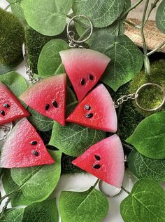 several slices of watermelon with green leaves surrounding them