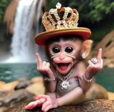 a monkey with a crown on top of it's head sitting on a rock