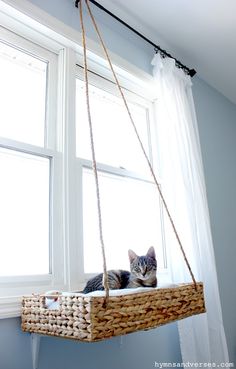 a cat sitting in a hanging basket on a window sill