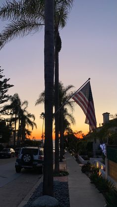 an american flag is flying in the air next to a sidewalk with palm trees and parked cars