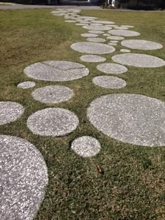 stepping stones are arranged in the shape of circles