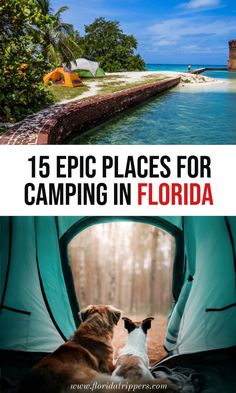 a dog laying in a tent next to the ocean with text overlay that reads, 15 epic places for camping in florida