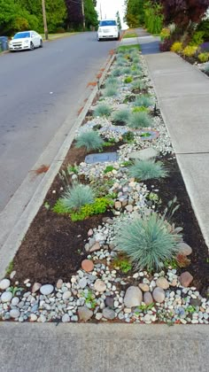 a long line of rocks and plants on the side of a road