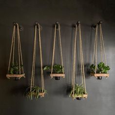 four hanging planters with plants in them