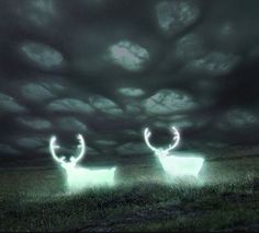 two deer standing in the middle of a field at night with lights on their antlers