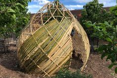 a wooden structure made out of sticks in the middle of a garden with trees and bushes