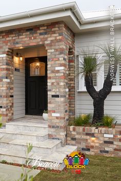 the front entrance to a house with steps leading up to it and a palm tree