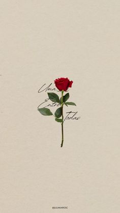 a single red rose on a white background with the words love and tribute written in cursive writing