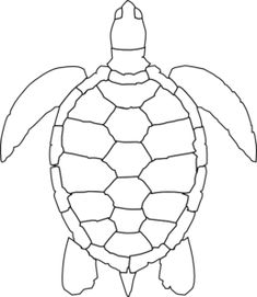 a black and white image of a turtle on a black background with the words sea turtles