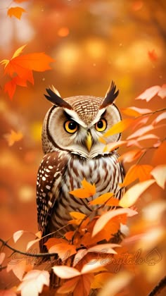 an owl sitting on top of a tree branch surrounded by fall leaves and oranges