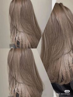 Korean Hair Color Ideas, Beige Korean, Beige Hair Color, 2024 Hair Trends For Women, Ash Gray Hair Color, Light Ash Brown Hair, Hair Color Swatches, Short Hair Inspiration, 2024 Hair Trends