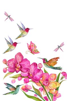 watercolor painting of pink orchids and hummingbirds