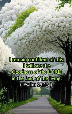 a tree lined path with the words i remain confident of this i will see the goodness of the lord in the land of the living