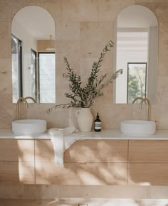 a bathroom with two sinks, mirrors and a plant in the middle of the room