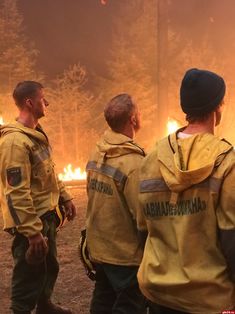 three fire fighters standing in front of a forest filled with flames