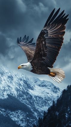 an eagle flying in the air with mountains in the background and dark clouds above it