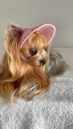 a small dog wearing a pink hat on top of a bed