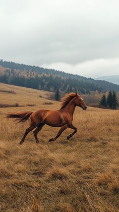 a brown horse running across a dry grass field