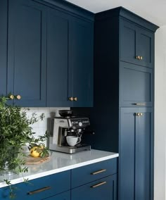 a kitchen with dark blue cabinets and white counter tops, gold pulls on the knobs