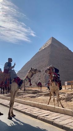 two camels with people riding on them in front of an egyptian pyramid