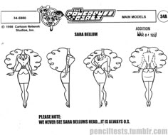 the character sheet for street fighter