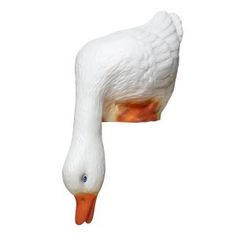 a white duck with orange beak and head