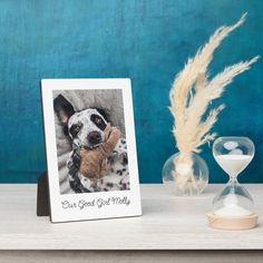 a dog holding a teddy bear sitting next to an hour glass and sand clock on a table