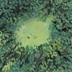 an aerial view of two people walking through the woods on a green grass covered field