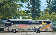 a bus is parked on the side of the road in front of some pine trees