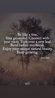 a tree with the quote be like a tree stay grounded connect with your roots turn over a