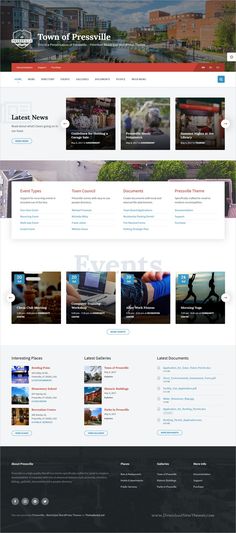 an image of a website page with the wordpress theme and images displayed on it