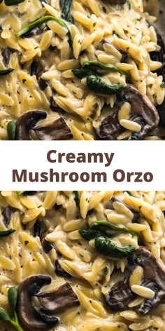 creamy mushroom orzo Orzo Recipes Side, Orzo Dinner Recipes, Mushroom Orzo, Spinach Orzo, Pasta With Mushrooms, Vegetarian Pasta Dishes, Mushroom Spinach, Pasta Side Dishes, Orzo Recipes