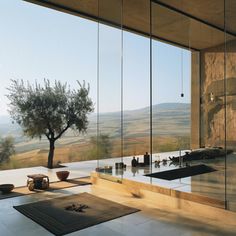 a bathroom with glass walls and a tree in the middle, overlooking hills outside it