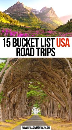 the road that is lined with trees and mountains in the background, has text overlay reading 15 bucket list usa road trips